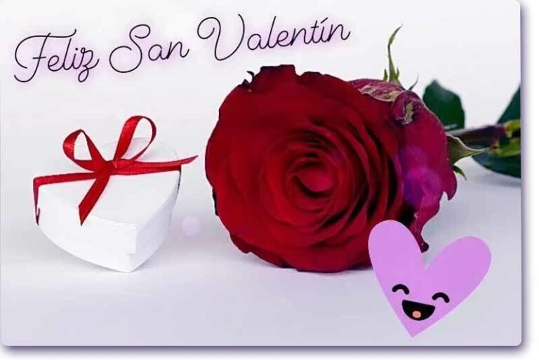 Rosa descansando en una mesa al lado de un regalo con forma de corazon y un letrero que dice "Feliz San Valentin"