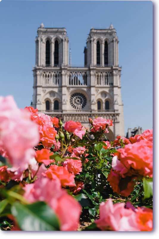 Notre damme